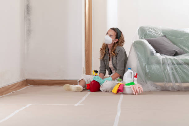 Reliable Crawl Space Mold Remediation contractor in Kenilworth, NJ by 24 Hour Mold Removal